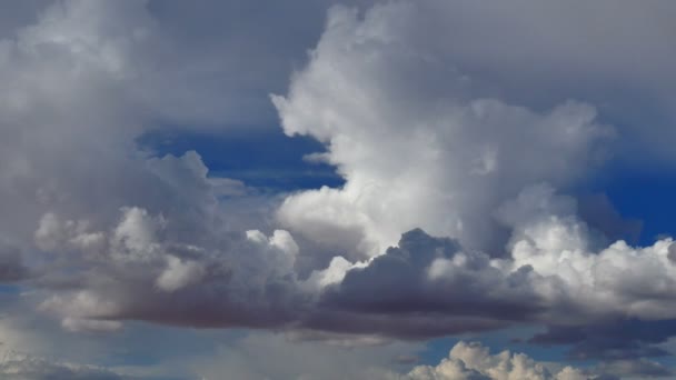 Thunderstorm Time Lapse Clouds Forming — Stock Video