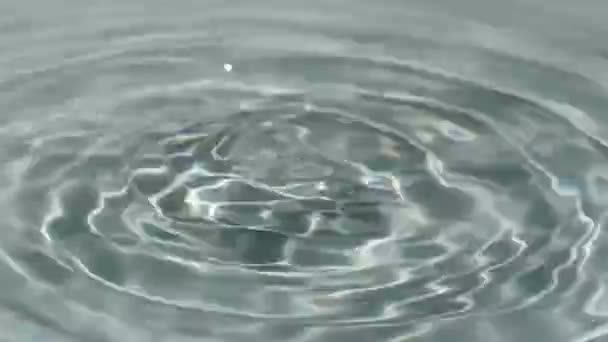 Felvétel Water Surface Sunlight Reflections Ről — Stock videók