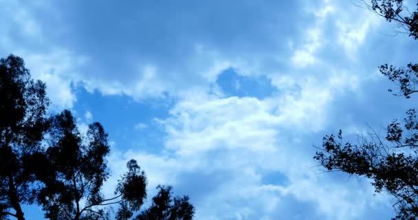 Malownicze Ujęcia Chmur Błękitnym Niebie — Wideo stockowe