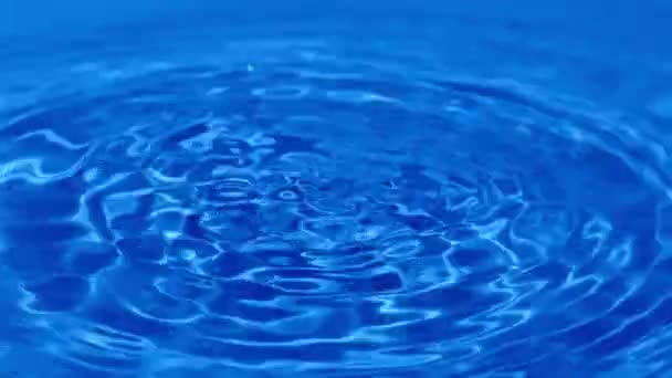 Wassertropfen Kronenwellen Auf Wasseroberfläche — Stockvideo