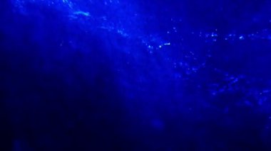 Sualtında yükselen kabarcıkların sakin görüntüleri.