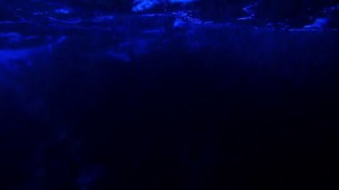 Sualtında yükselen kabarcıkların sakin görüntüleri.