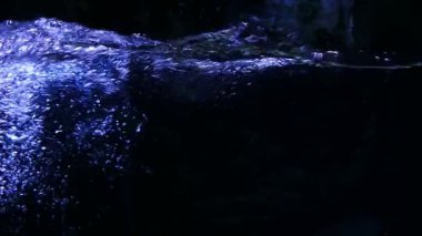 Sualtında yükselen kabarcıkların sakin görüntüleri.