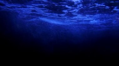 Sualtında yükselen kabarcıkların sakin görüntüleri.