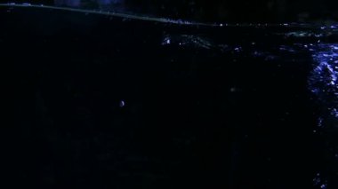 Sualtında yükselen kabarcıkların sakin görüntüleri.