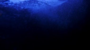 Sualtında yükselen kabarcıkların sakin görüntüleri.