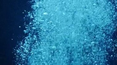 Sualtında yükselen kabarcıkların sakin görüntüleri.