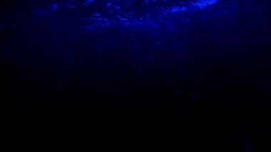 Sualtında yükselen kabarcıkların sakin görüntüleri.