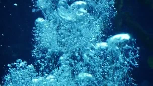 Primo Piano Tranquillo Filmato Bubbles Rising Underwater — Video Stock