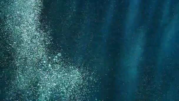 Nahaufnahme Ruhiger Aufnahmen Von Bubbles Rising Underwater — Stockvideo