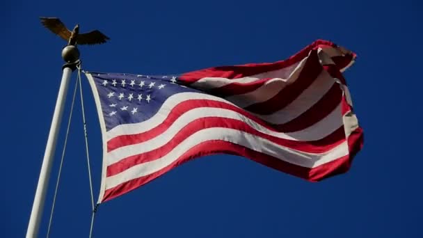 Közeli Felvétel Usa Flag Waving Wind — Stock videók