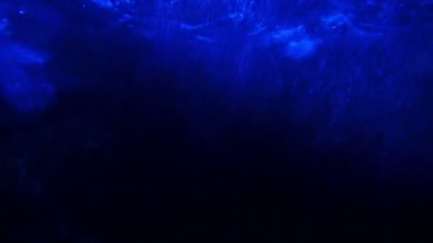 Крупным Планом Спокойные Кадры Bubbles Rising Underwater — стоковое видео