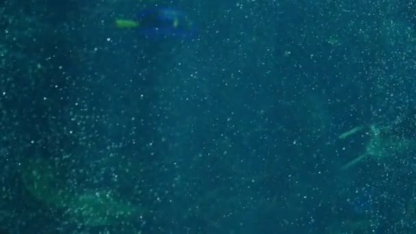 Close Imagens Tranquilas Bubbles Rising Underwater — Vídeo de Stock
