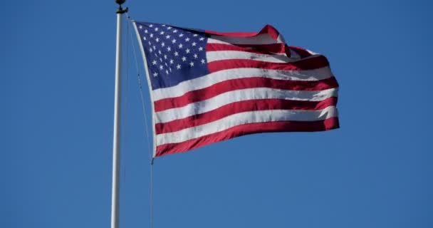 Közeli Felvétel Usa Flag Waving Wind — Stock videók