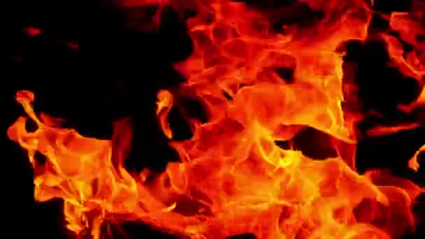 Yavaş Hareket Siyah Arkaplanda Yangın Görüntülerini Yakıyor — Stok video