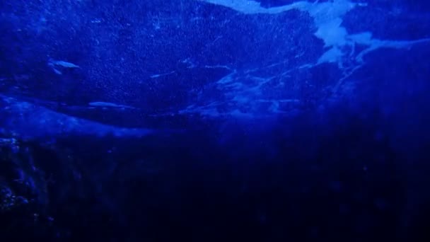 Primo Piano Tranquillo Filmato Bubbles Rising Underwater — Video Stock