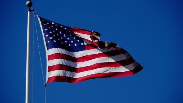 Közeli Felvétel Usa Flag Waving Wind — Stock videók