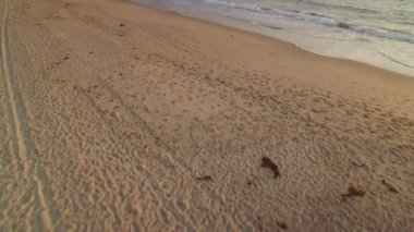 Hermosa Sahili İskelesi Günbatımı Hava Çekimi Kaliforniya Sahili İleri