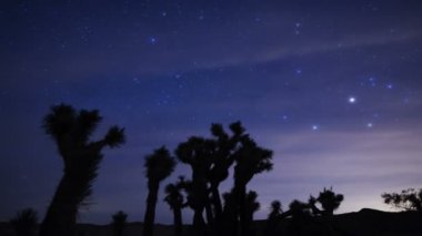 Samanyolu Galaksisi Joshua Tree Ulusal Parkı 'nın üzerinde yükseliyor Kaliforniya Pan Sağa