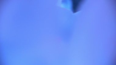 Ay Denizanası Aurelia Aurita Yakın plan