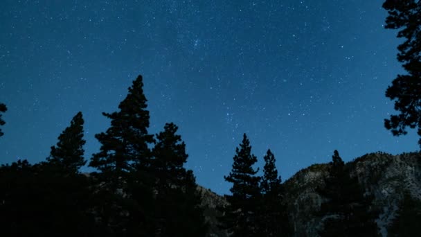 Vintergatan Galaxy Nordöstra Sommaren Himmel Över Alpina Mountain Forest Pan — Stockvideo