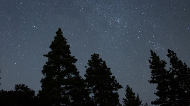 Verão Láctea Galáxia 24Mm Noroeste Céu Estrelado Acima Pinho Floresta — Vídeo de Stock