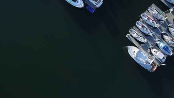 Sailboat Yachts Marina Docks Birds Eye View Aerial Shot Right — 비디오