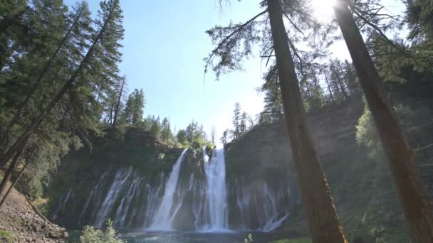 Burney Falls Und Waldwasserfälle Shasta California — Stockvideo