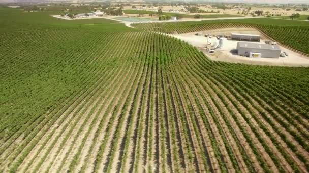California Winery Vineyard Paso Robles Flygfoto Vin Land Kvar — Stockvideo