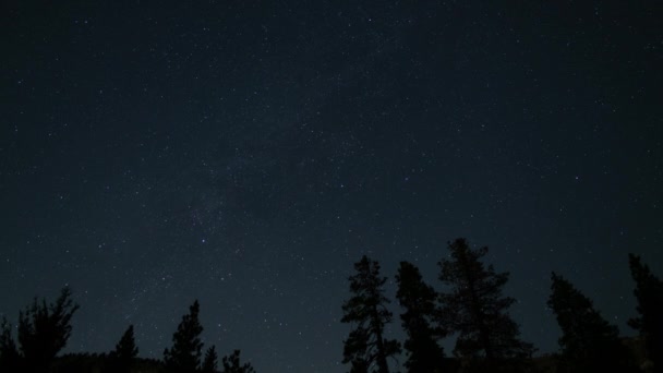 Verão Láctea Galáxia 24Mm Noroeste Céu Estrelado Acima Floresta Tempo — Vídeo de Stock