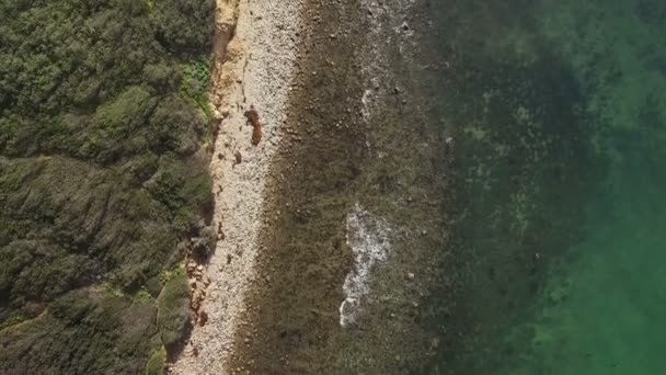 Vagues Océaniques Côte Des Oiseaux Vue Aérienne Côte Pacifique Rocky — Video