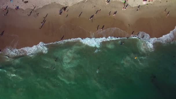 加利福尼亚州拉古纳海滩空中射中鸟瞰下降 — 图库视频影像