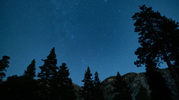 Láctea Galáxia Nordeste Verão Céu 24Mm Alpine Mountain Forest — Vídeo de Stock