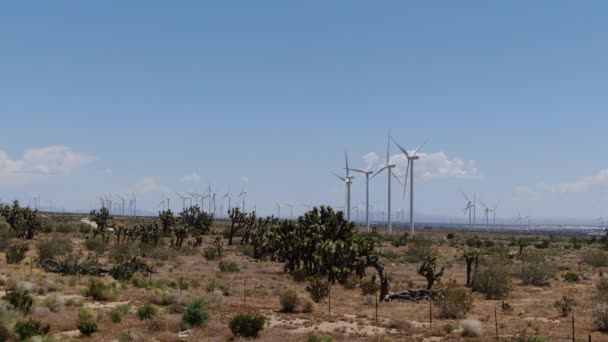 Wind Turbines Power Plant Και Joshua Trees Mojave Desert Καλιφόρνια — Αρχείο Βίντεο