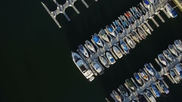 Sailboat Yachts Marina Docks Birds Eye View Aerial Shot Tilted — 비디오