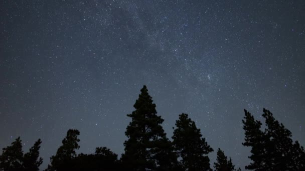 Verão Láctea Galáxia 24Mm Noroeste Céu Estrelado Acima Pinho Floresta — Vídeo de Stock