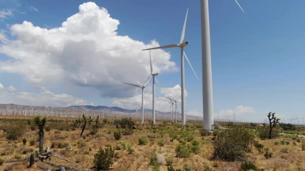 Левая Ветряная Электростанция Пустыне Мохаве Калифорния — стоковое видео