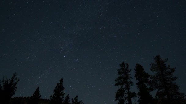 夏日银河24毫米西北星空掠过森林时间 — 图库视频影像