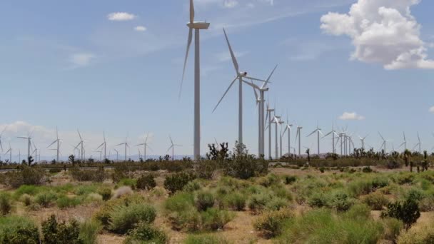 莫哈韦沙漠地区风力涡轮机发电厂加州多利河右车轨道 — 图库视频影像