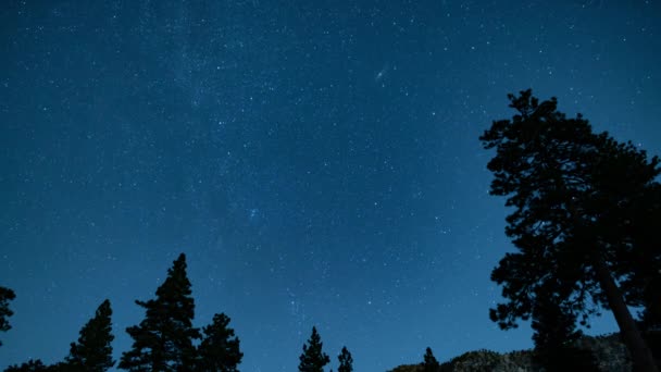 银河银河东北夏日天空24毫米高山树 — 图库视频影像
