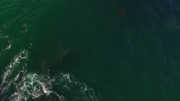 Laguna Beach Aerial Shot California Ocean Inclinar Para Cima — Vídeo de Stock