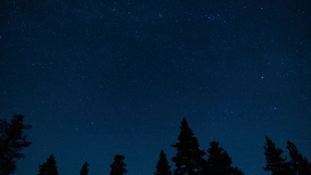 Chuveiro Meteoros Perseid Estrela Norte Polaris 24Mm Sobre Inclinação Floresta — Vídeo de Stock