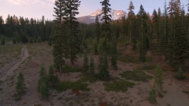 Bunny Düz Günbatımı 'ndan Shasta Dağı ve Ormanı Havadan Çekimi Kaliforniya Yüksekliği