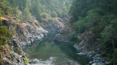 Redwood Ulusal Parkı Smith Nehri Vadisi Kaliforniya Nehri 'ne Yansıdı