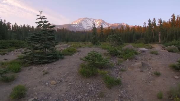 Mount Shasta Från Bunny Flat Sunset Aerial Skott Berg Och — Stockvideo