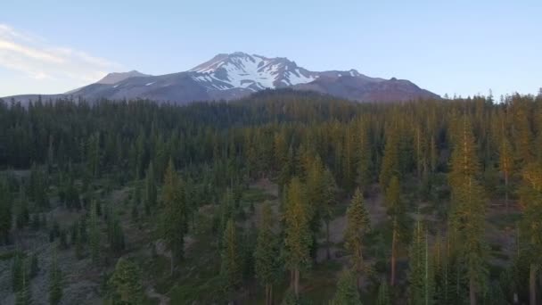 Mount Shasta Från Bunny Flat Morning Aerial Skott Berg Och — Stockvideo