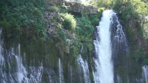 Burney Falls Top Moss Och Vattenfall Shasta Kalifornien — Stockvideo