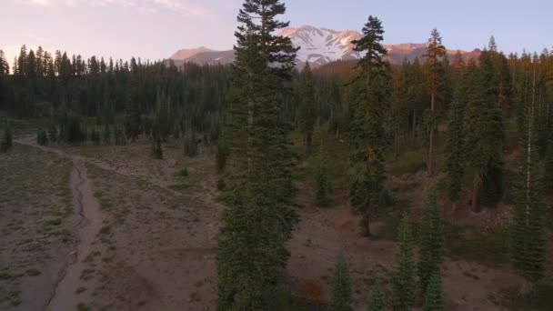 Góra Shasta Bunny Flat Sunset Aerial Shot Mountain Forest California — Wideo stockowe