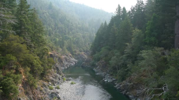 Redwood Ulusal Parkı Smith Nehri Vadisi Kaliforniya — Stok video