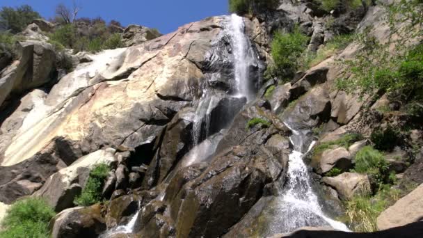 Parc National Kings Canyon Grizzly Falls Californie — Video